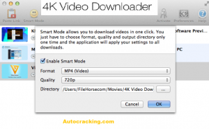 4k video downloader license key 2021