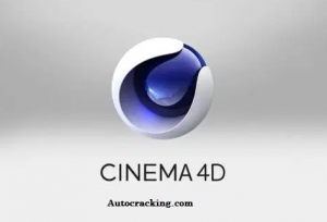 cinema 4d license cost