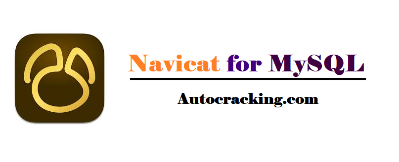 Navicat for MySQL Keygen